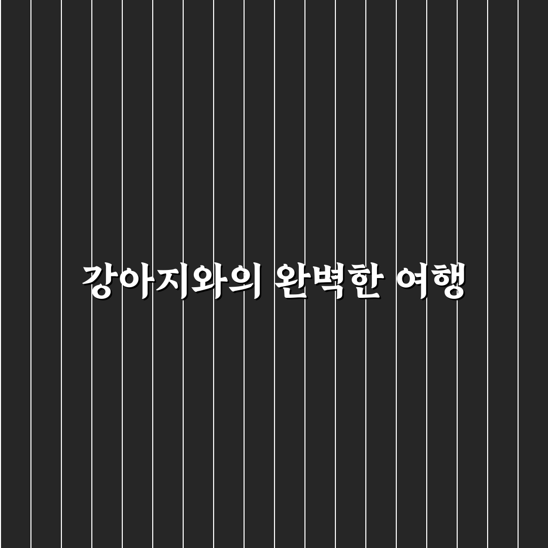 강아지 동반 1박 2일 여행지와 펫프렌들리 숙소 추천 꿀팁 정리