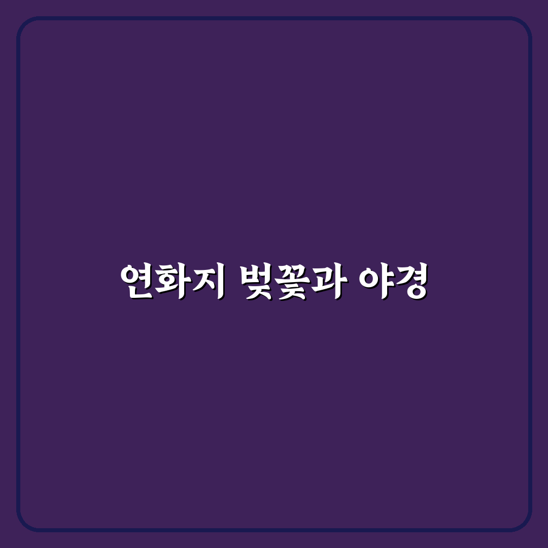 김천 연화지 벚꽃 명소와 야경 산책 코스 꿀팁 정리