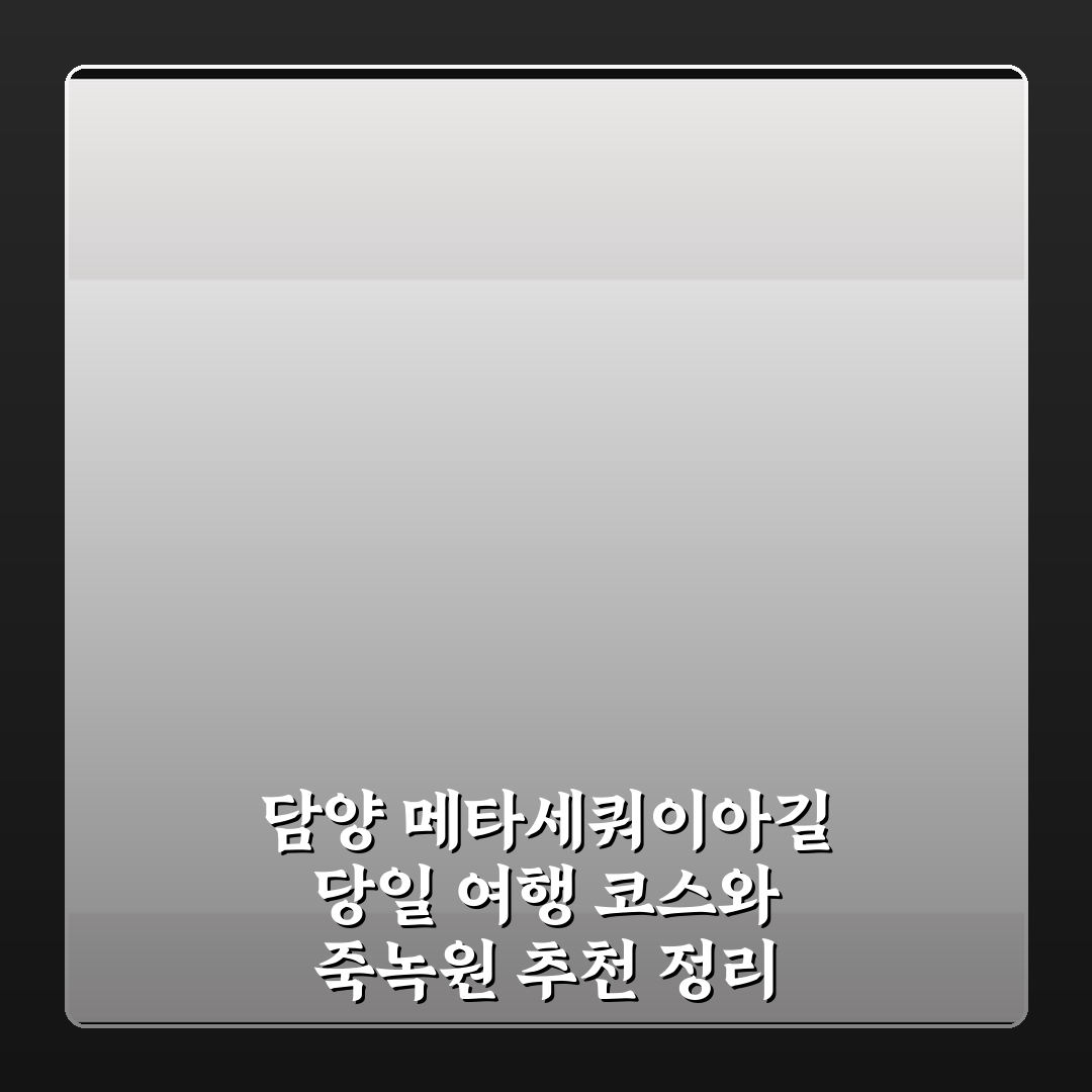담양 메타세쿼이아길 당일 여행 코스와 죽녹원 추천 정리 솔직후기