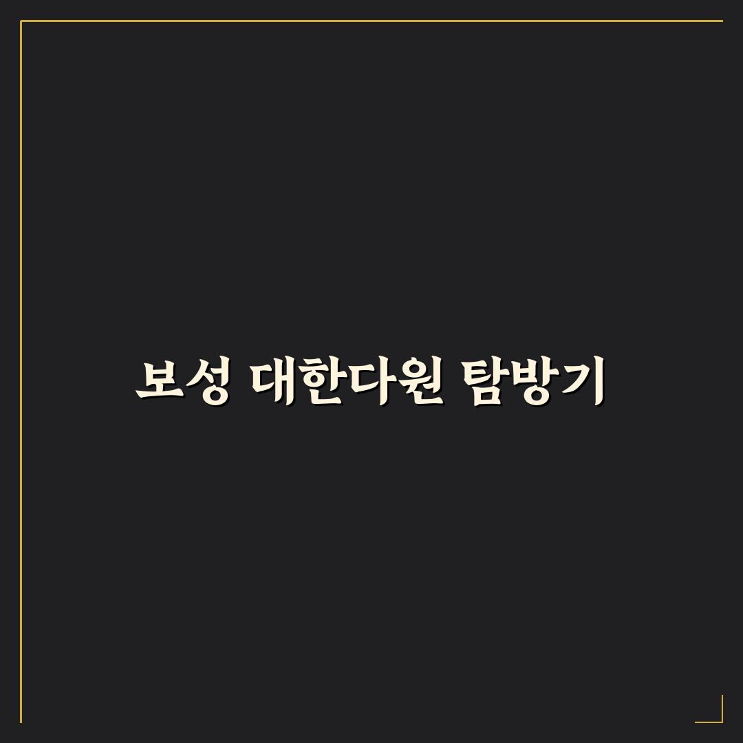 보성 대한다원 당일 여행 코스와 인생샷 명소 꿀팁 정리