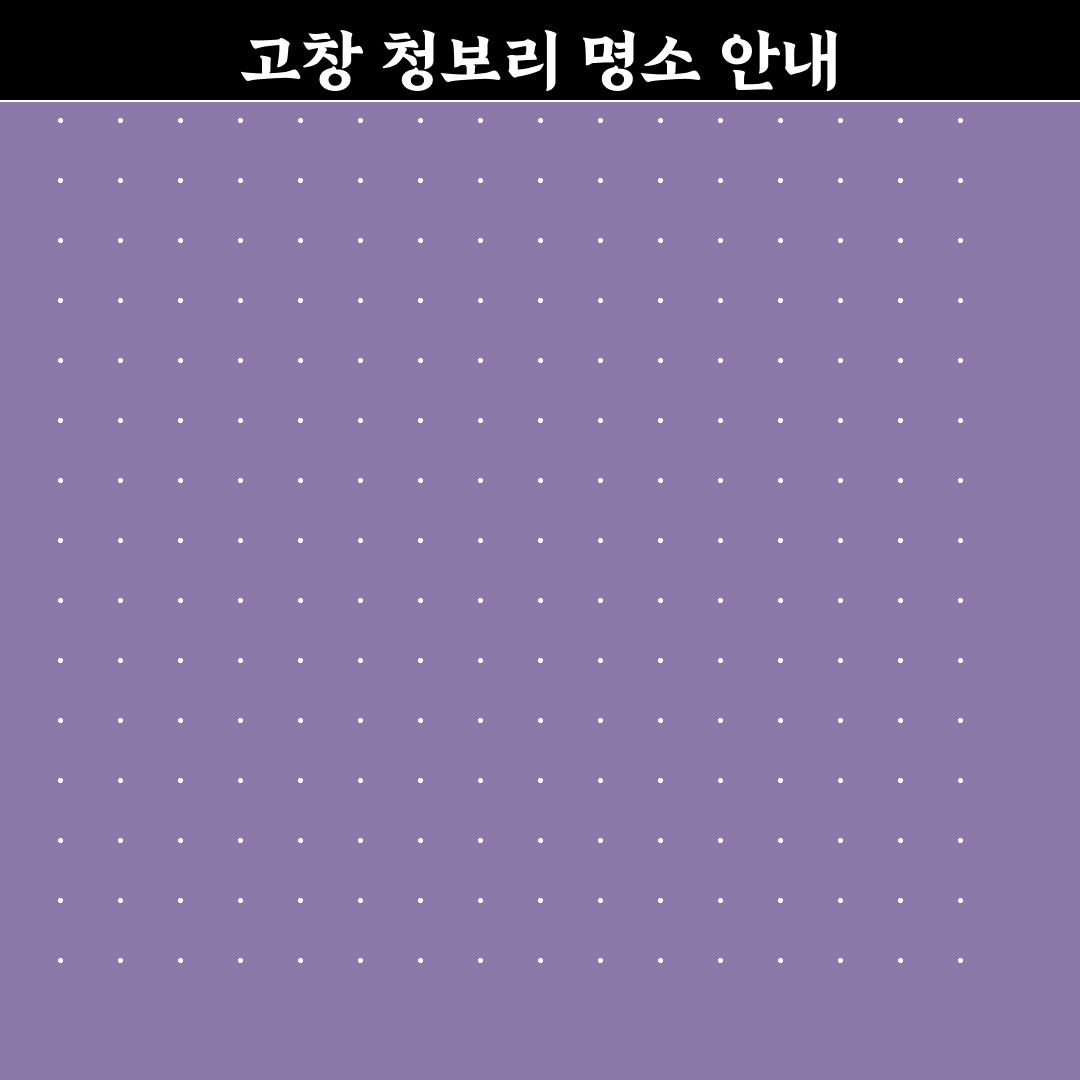 고창 청보리밭 축제 일정과 인생샷 포인트 꿀팁 정리