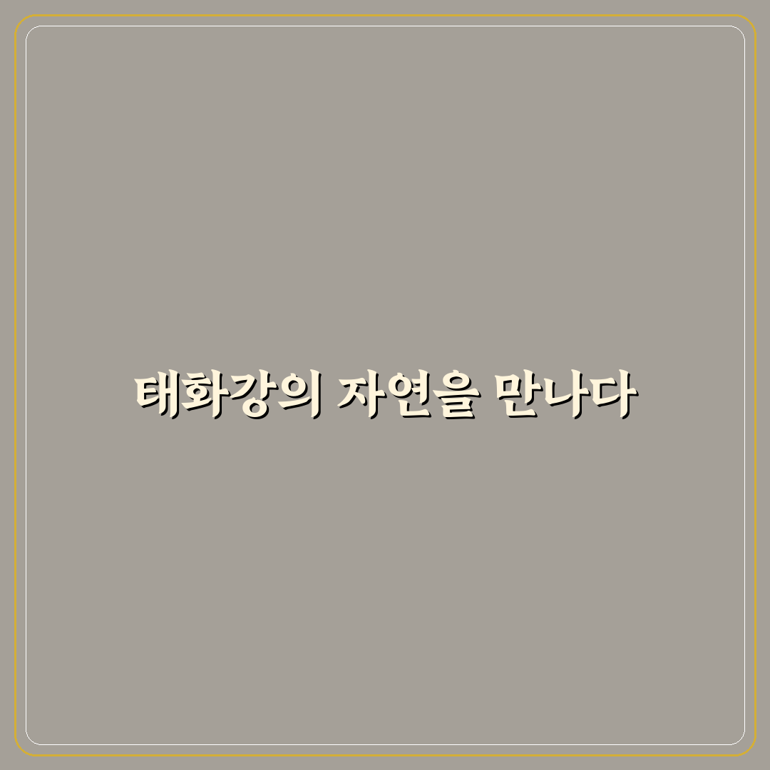 울산 1박 2일 태화강 국가정원 코스와 야경 추천 꿀팁 공유