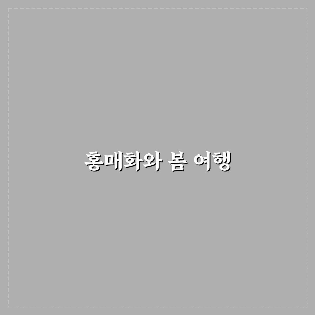 양산 통도사 홍매화 시기와 봄 당일치기 코스 추천 정리