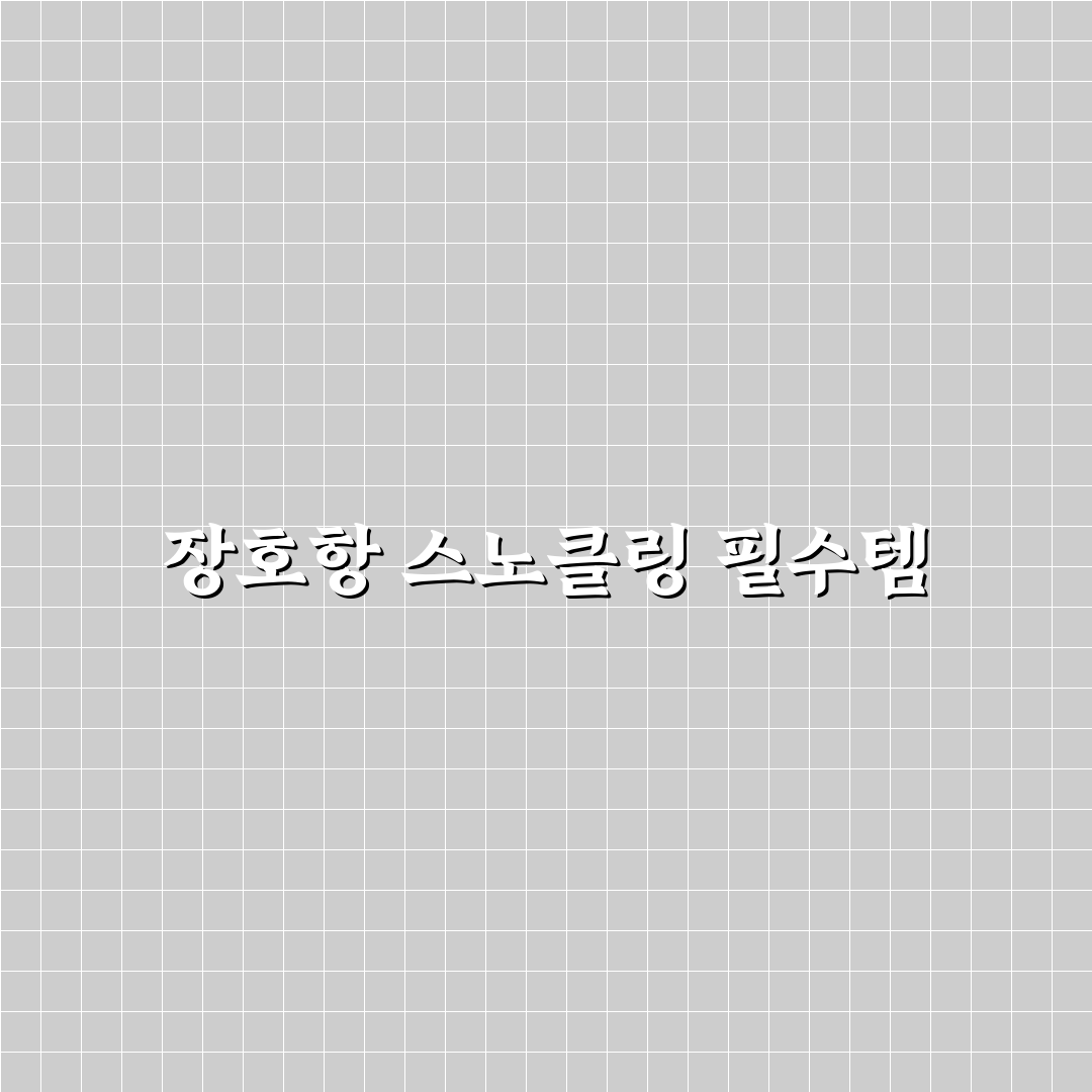 삼척 장호항 스노클링 준비물과 물놀이 꿀팁 정리