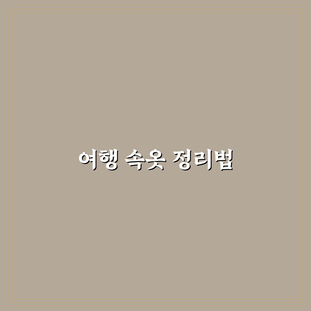 속옷 파우치 꼭 필요한 이유와 여행 정리 꿀팁