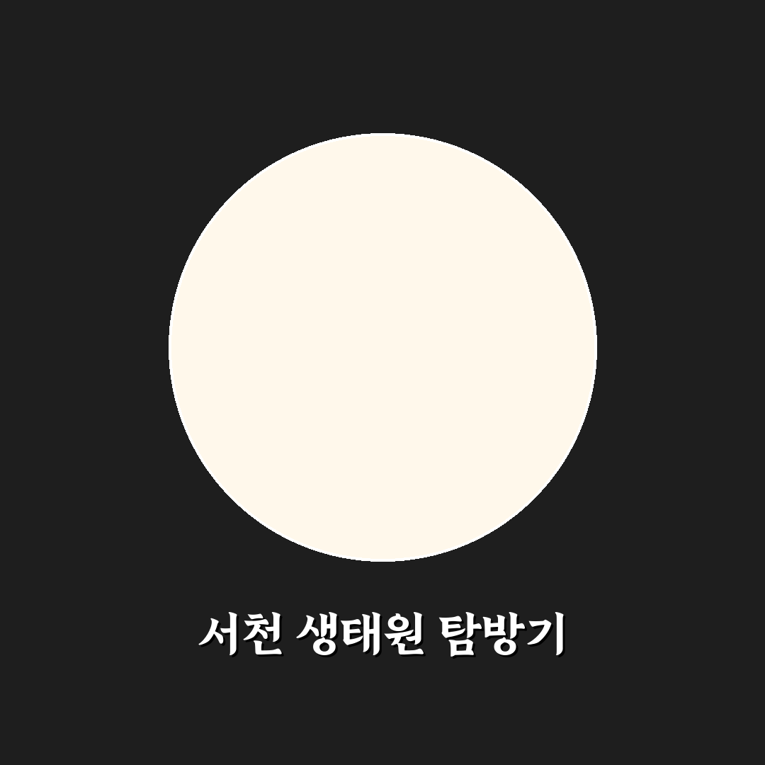 서천 국립생태원 후기와 아이와 가기 좋은 코스 추천 꿀팁 공유
