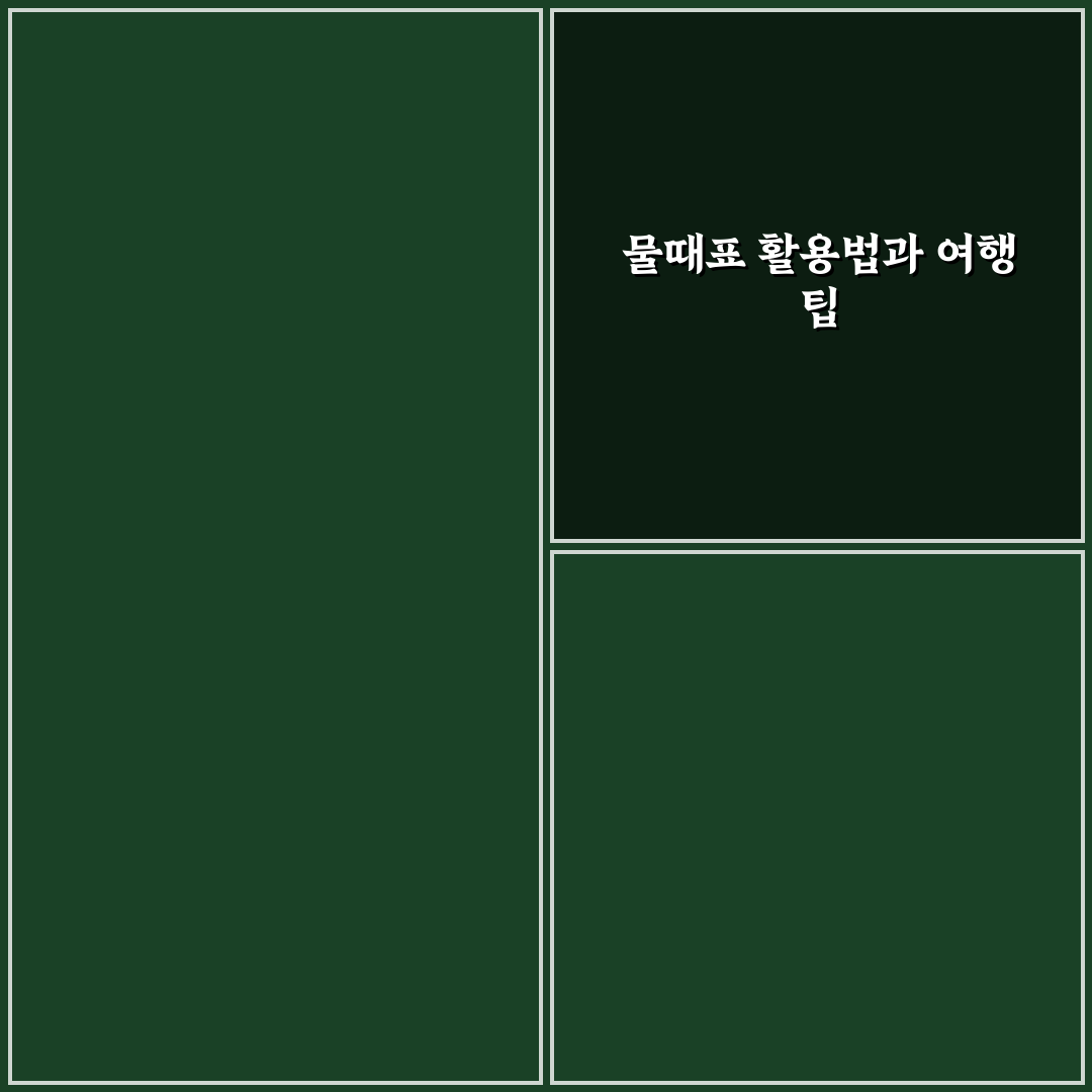 제부도 물때표 보는 법과 여행 시간 맞추는 팁 알려드려요