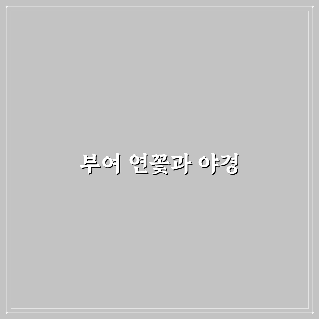 부여 궁남지 연꽃축제 일정과 야경 명소 꿀팁 정리