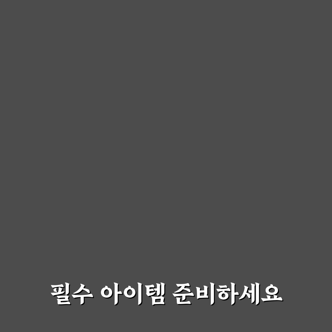 당일치기 가방 속 필수품 꿀팁 총정리