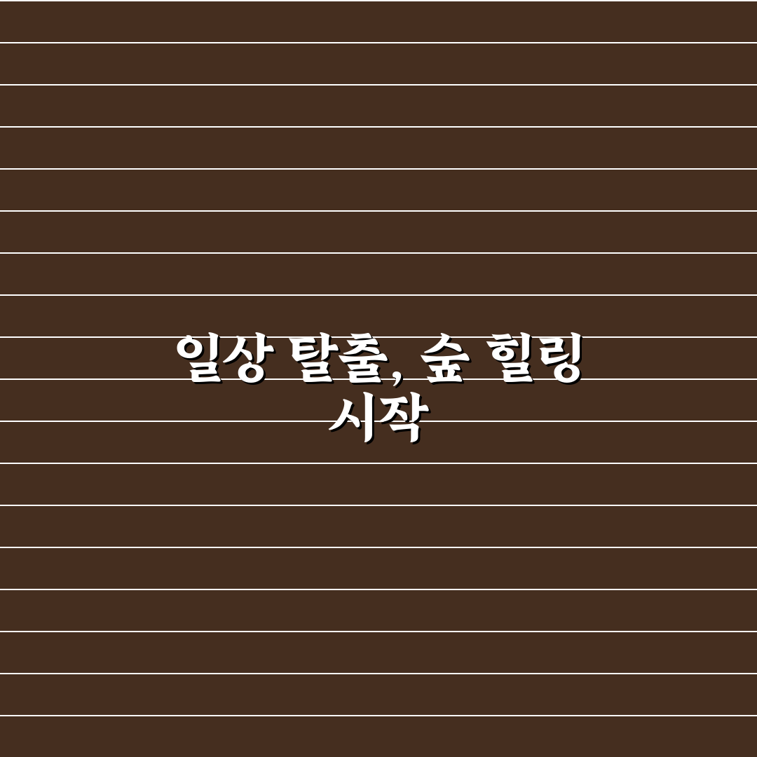 서울 숲세권 산책로 추천! 조용한 힐링 코스 직접 써본 총정리