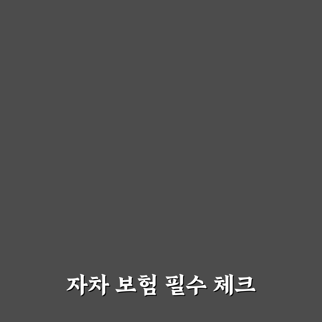 렌터카 보험 자차 선택 기준과 보장 꿀팁 정리