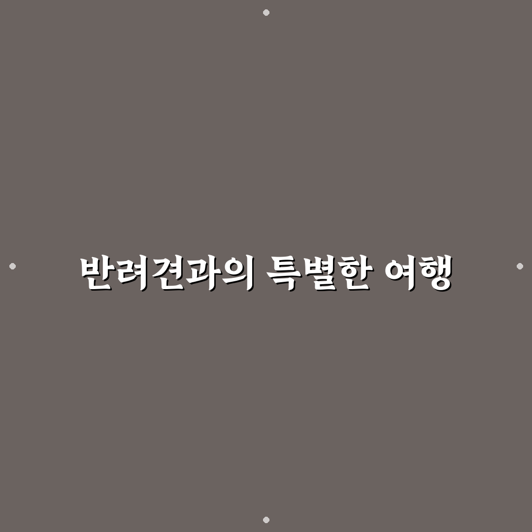 펫프렌들리 국내 여행지와 반려견 동반 코스 추천 꿀팁 공유