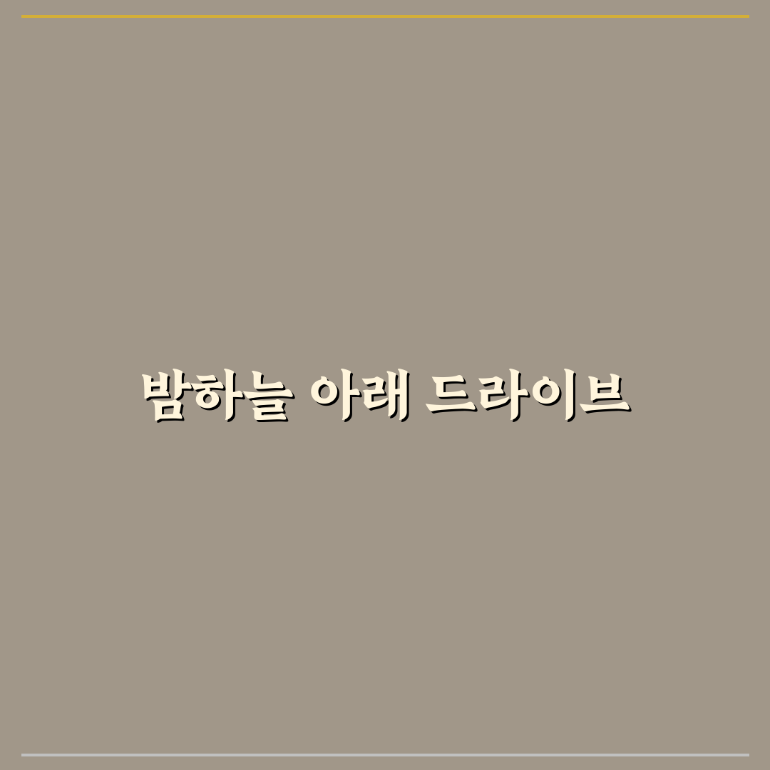 야간 당일치기 여행지 추천과 밤 드라이브 코스 꿀팁 정리