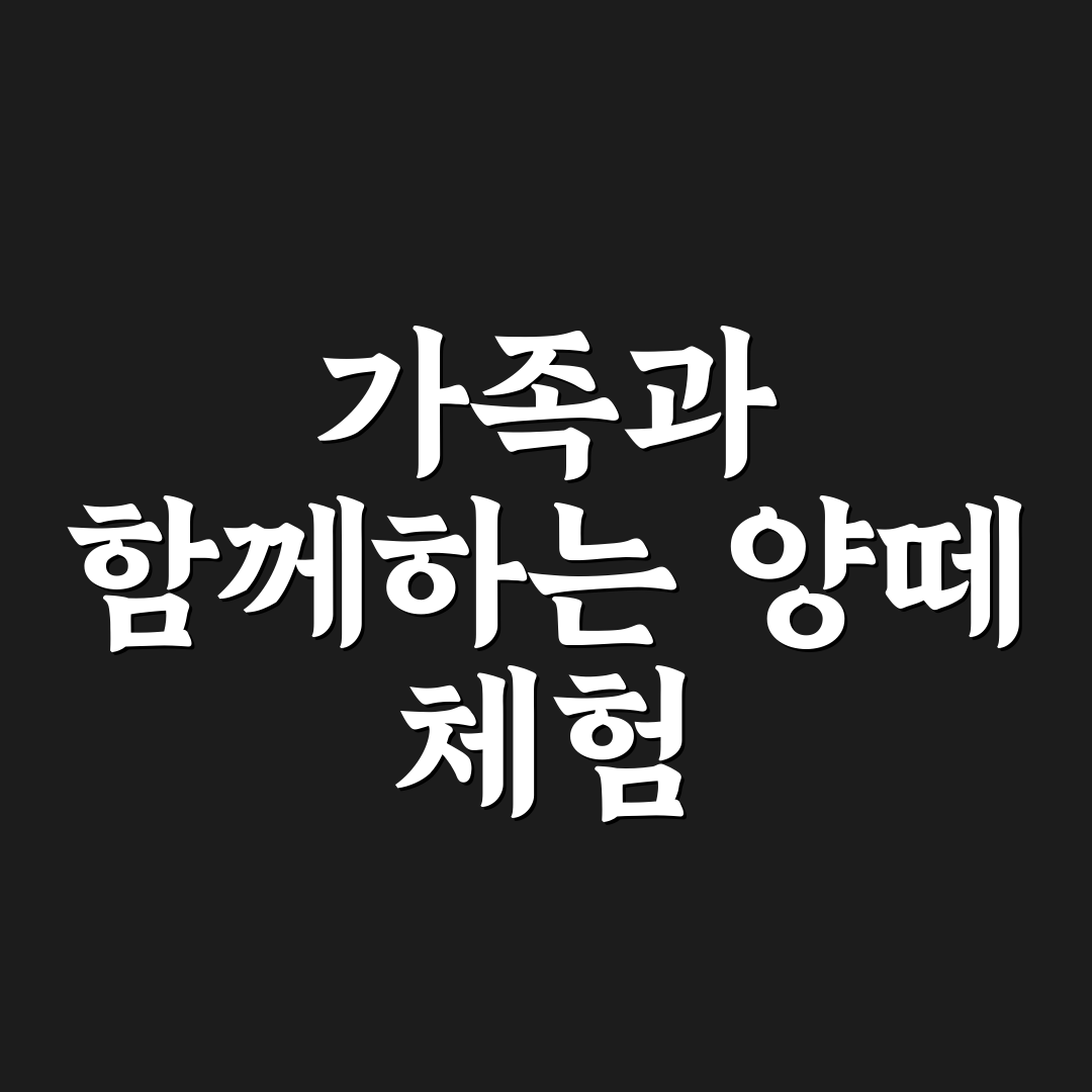 칠곡 양떼목장 당일치기 코스와 아이와 체험 꿀팁 정리
