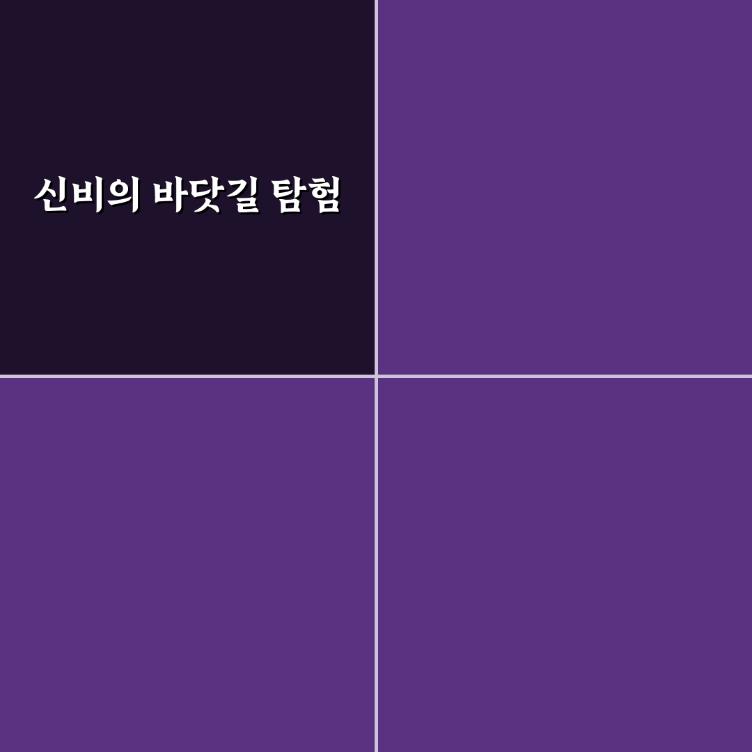 진도 1박 2일 신비의 바닷길 여행 코스와 시기 꿀팁 정리