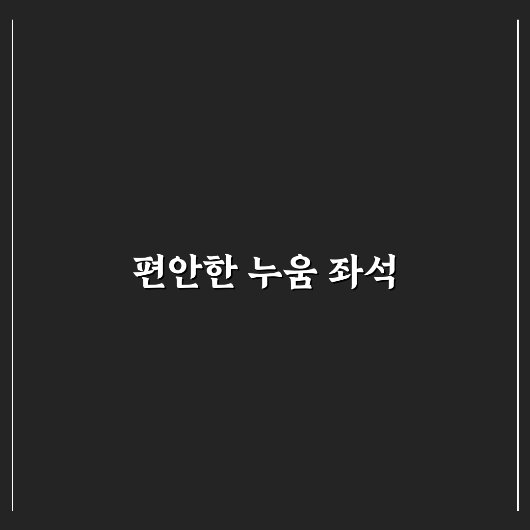 프리미엄 버스 누워서 가기 좋은 좌석 선택 꿀팁 정리