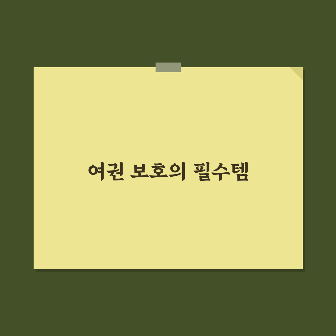 여권 케이스 필요성 있을까 장단점과 선택 기준 정리 꿀팁 공유