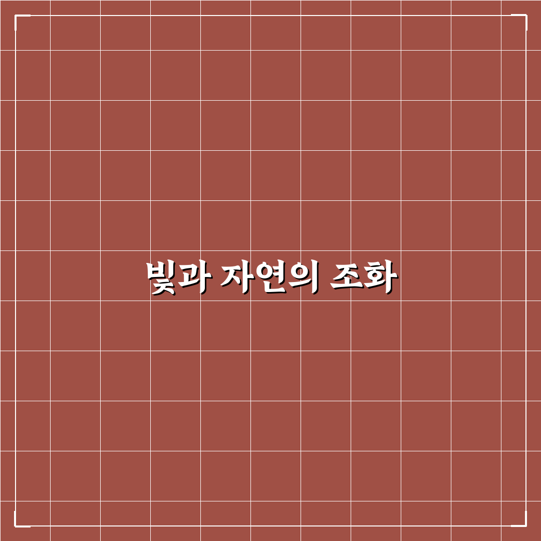 가평 아침고요수목원 야간 개장과 빛축제 관람 팁 정리