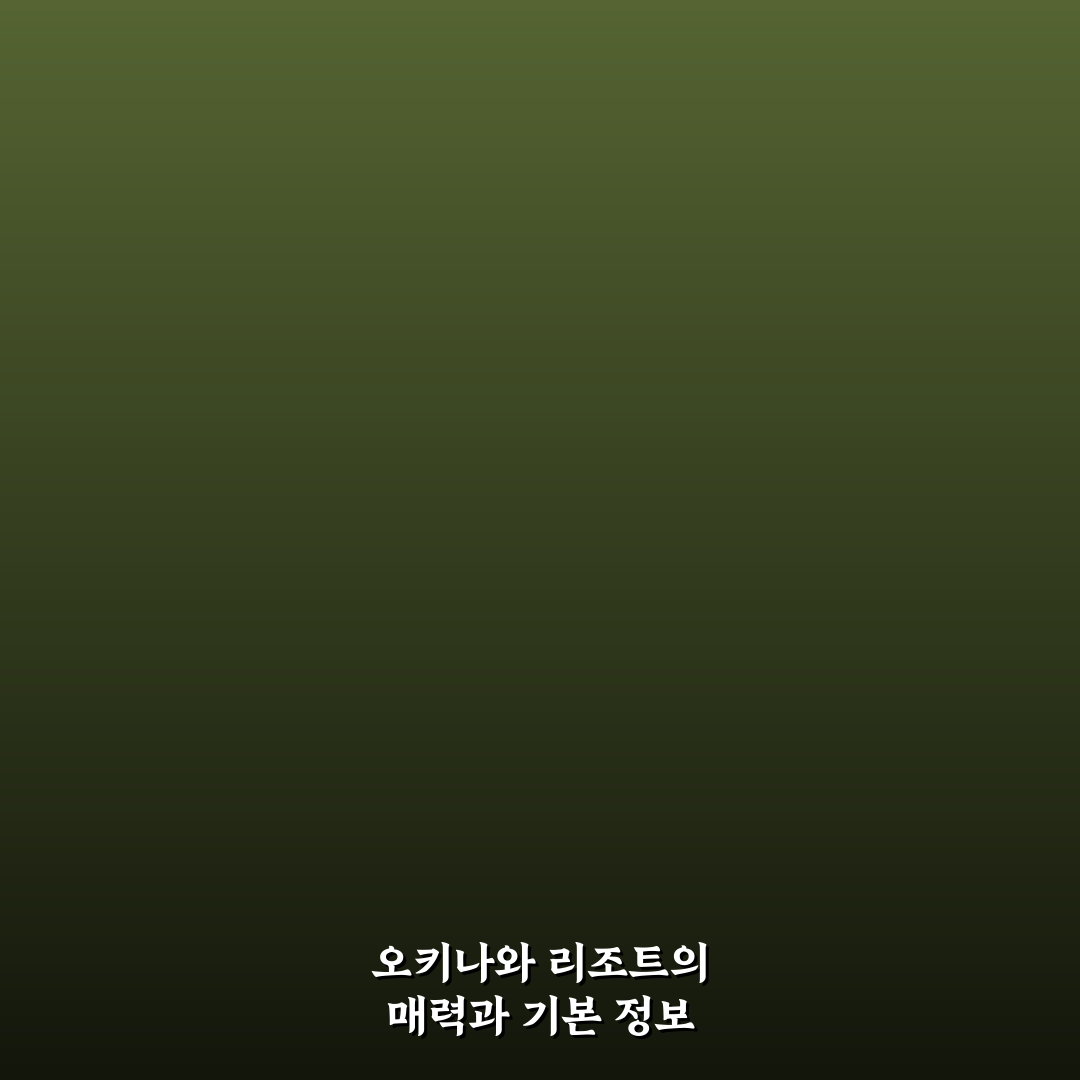 오키나와 더부세나 방문 전 꿀팁과 후기 공유
