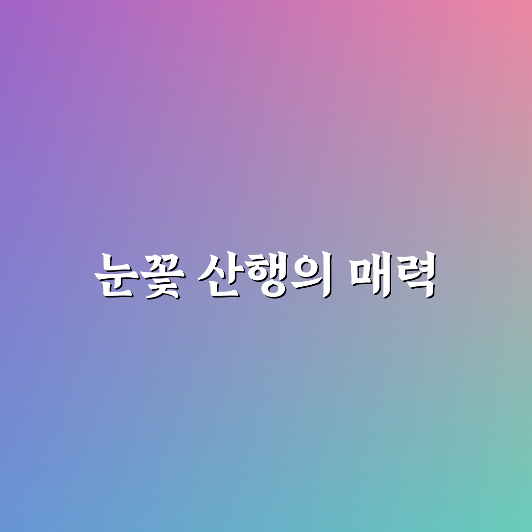 눈꽃 산행 1박 2일 코스와 겨울 산행 꿀팁 정리