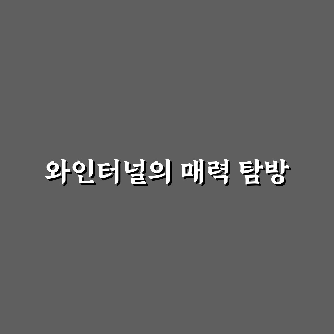 영동 와인터널 당일치기 코스와 여행지 꿀팁 정리