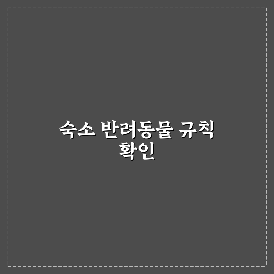 반려동물 동반 숙소 규칙과 예약 전 체크리스트 정리