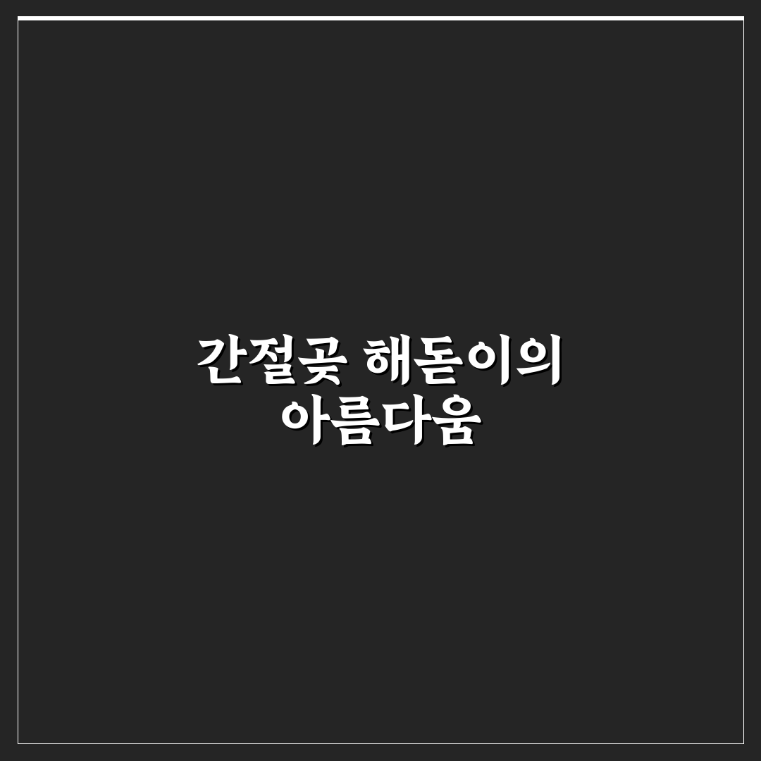 울산 간절곶 일출 시간과 해돋이 명소 방문 꿀팁 정리