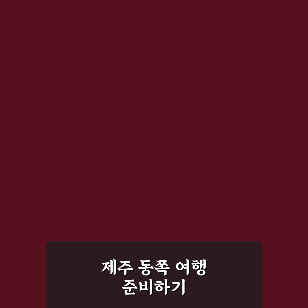 제주도 동쪽 코스 추천과 초보 여행자 일정 꿀팁 공유