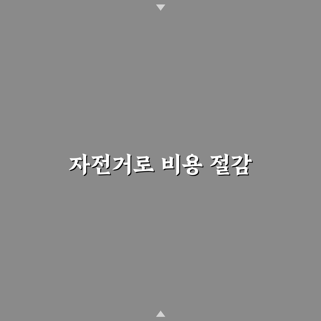 공공 자전거 이용하기와 이동비 줄이는 여행 팁 정리해요