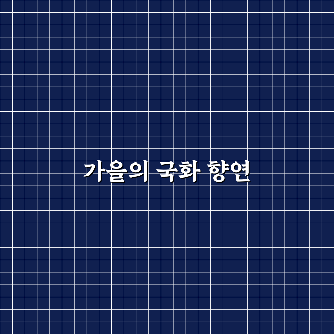 함평 엑스포공원 국화축제 일정과 가을 나들이 꿀팁 정리