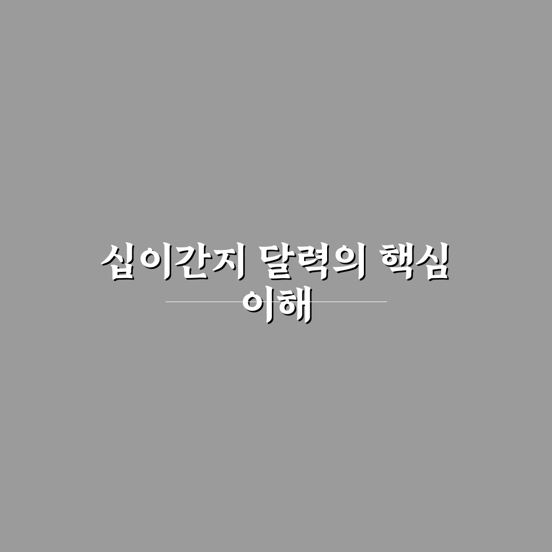 십이간지 달력 활용법과 꿀팁 쉽게 알려드려요