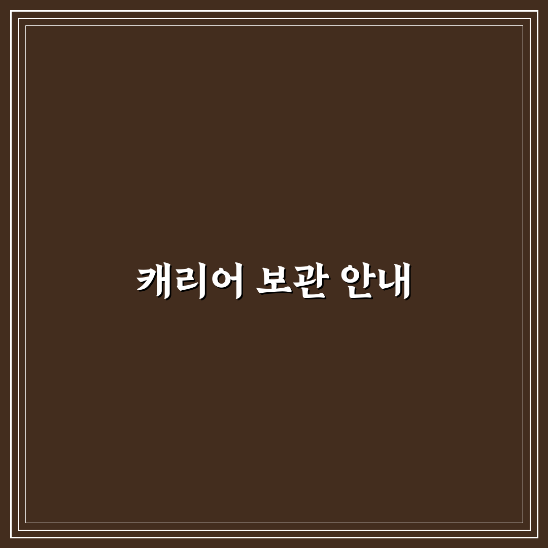 숙소 캐리어 보관 팁과 체크인 전후 짐 맡기는 방법 정리