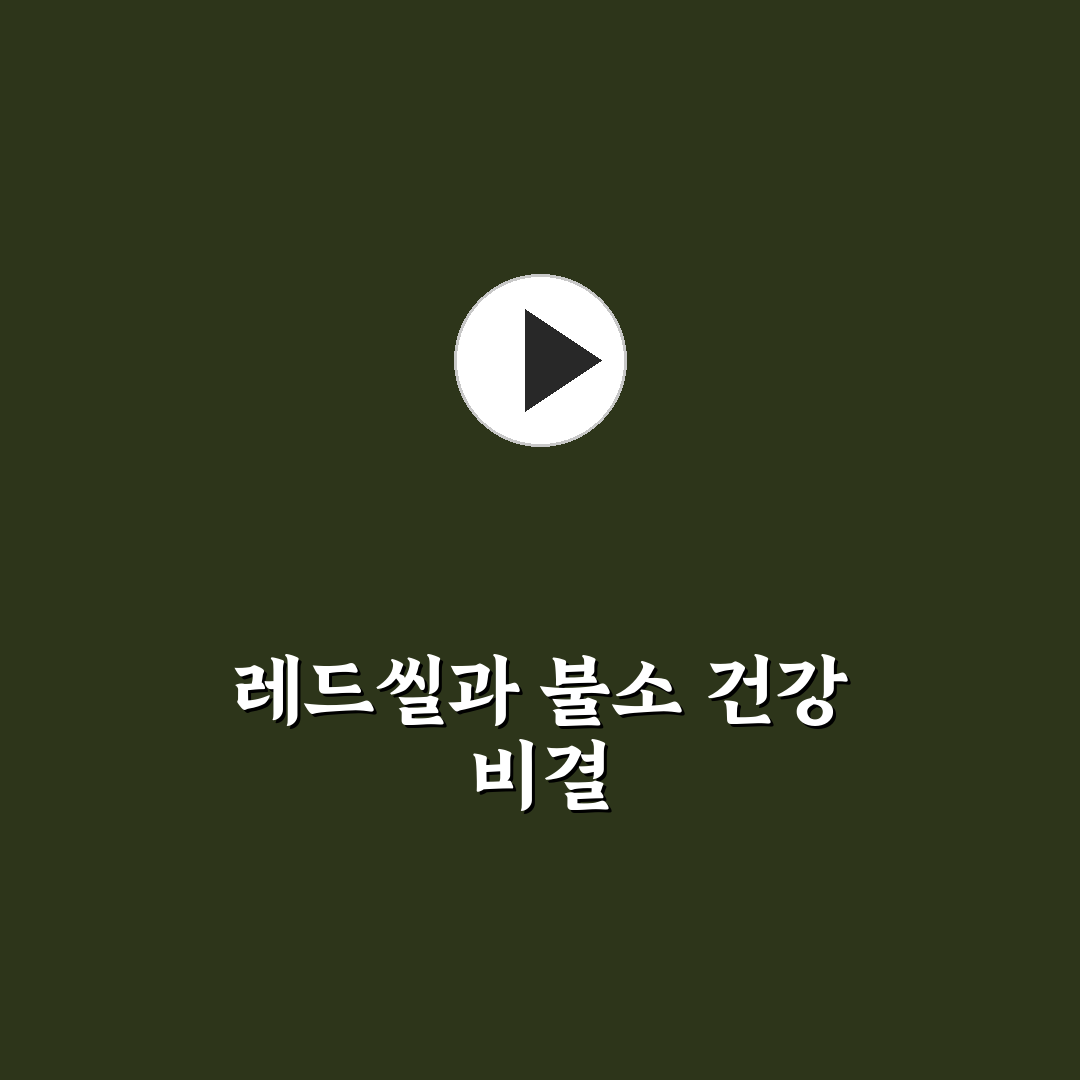 레드씰 프로폴리스 불소 사용법과 효과 쉽게 알려드려요