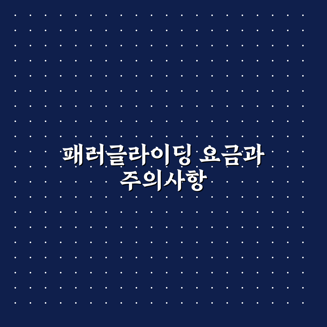 단양 패러글라이딩 가격과 예약 전 꿀팁 정리하기