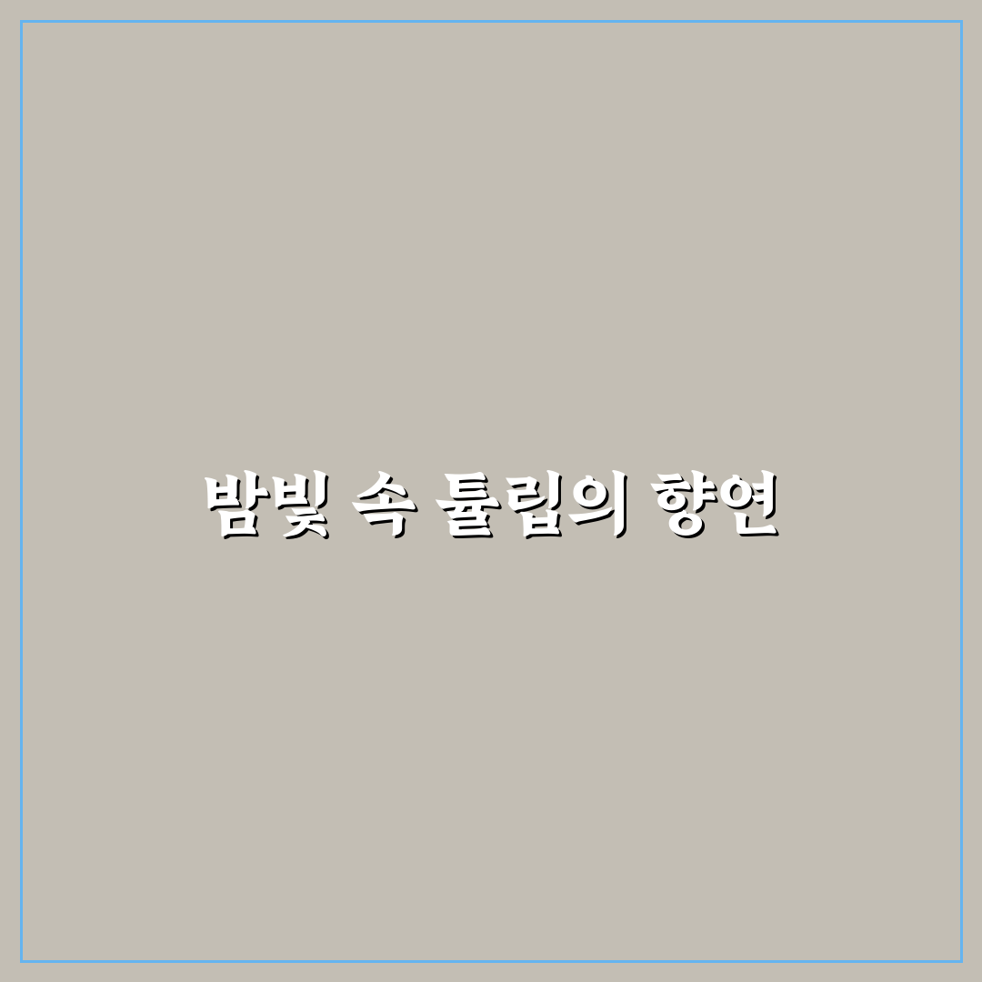 태안 튤립축제 야간 방문 꿀팁과 즐길 거리 정리
