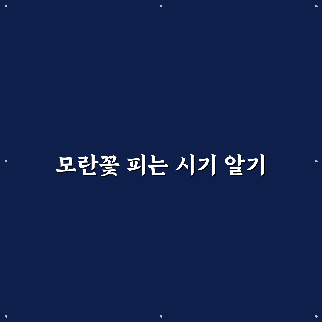 모란꽃 개화시기와 특징 쉽게 알려드려요