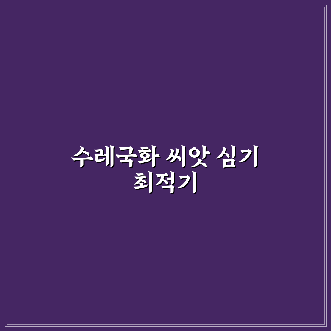 수레국화 파종시기와 방법 초보자도 쉽게 알려드려요