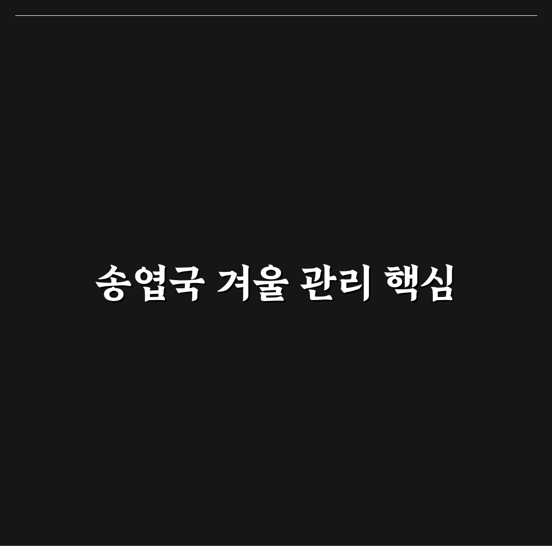 송엽국 월동온도와 관리 꿀팁 쉽게 알려드려요
