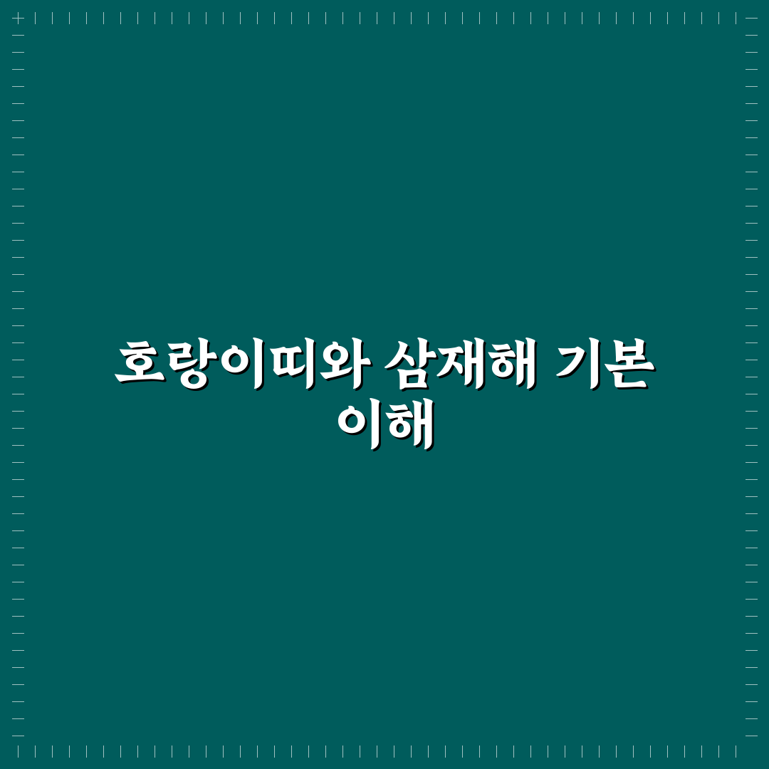 호랑이띠 삼재해 뜻과 극복 방법 정리 알려드려요