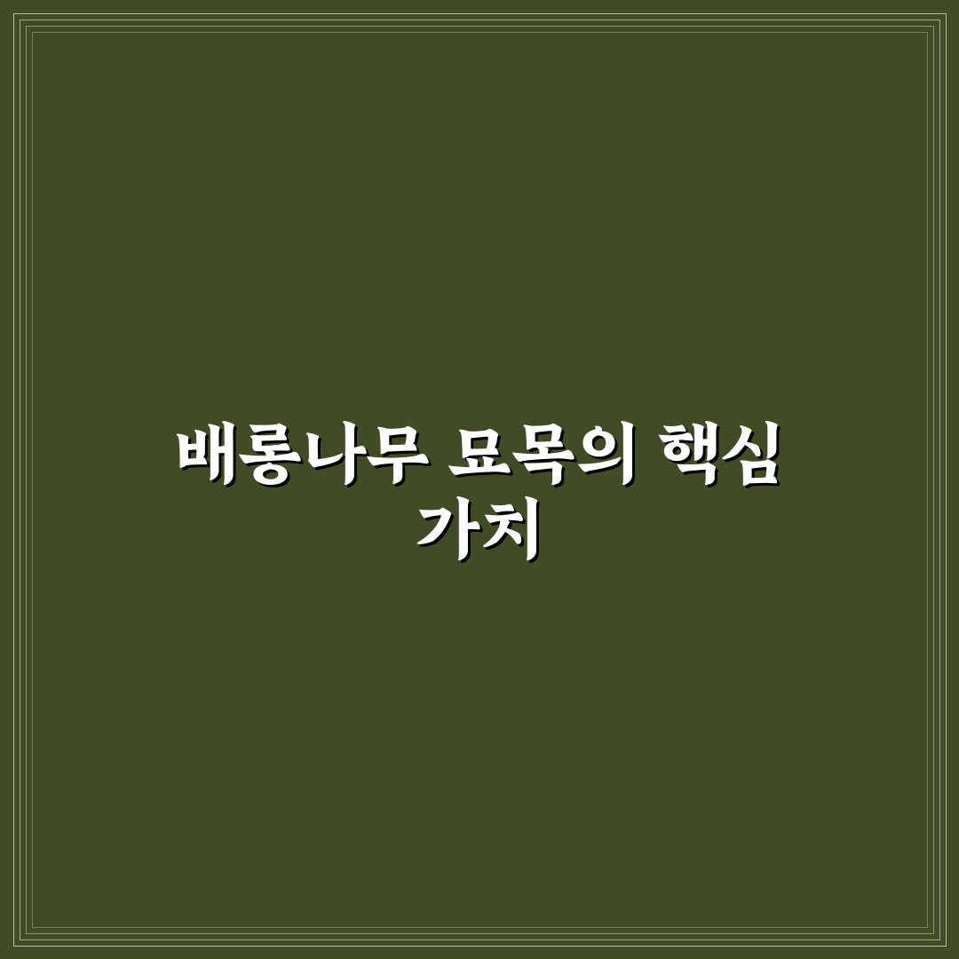 배롱나무 묘목 키우기 꿀팁과 관리 방법 알려드려요