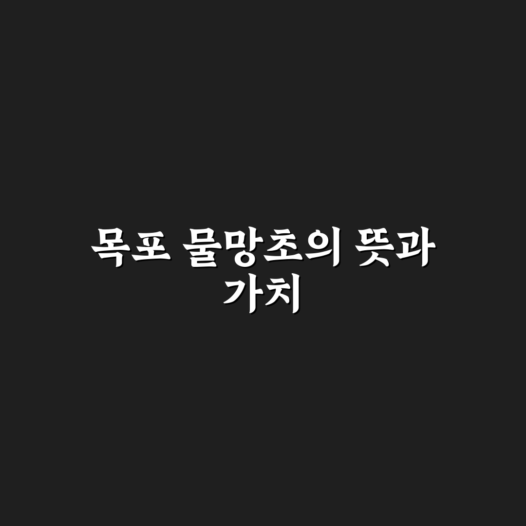 목포 물망초 방문 전 알아두면 좋은 꿀팁 정리