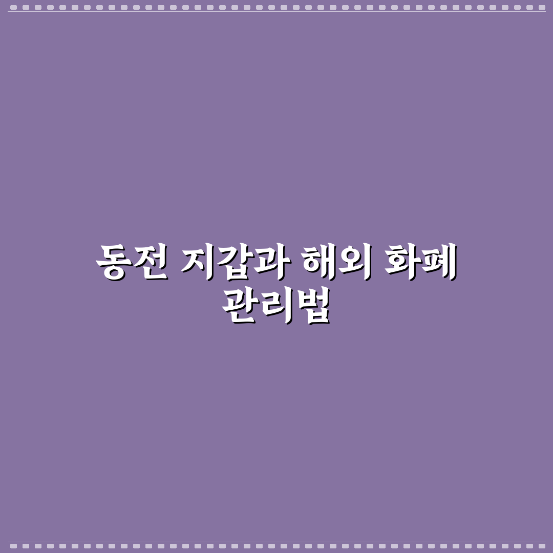 동전 지갑 추천과 해외 소액 화폐 보관 가이드 비교 분석