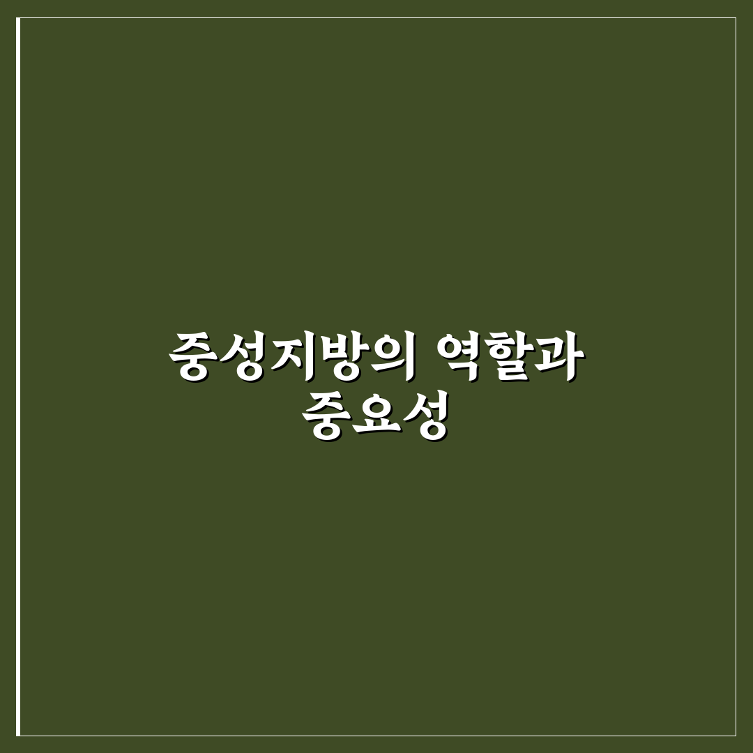 중성지방 영어로 쉽게 배우는 뜻과 사용법 정리