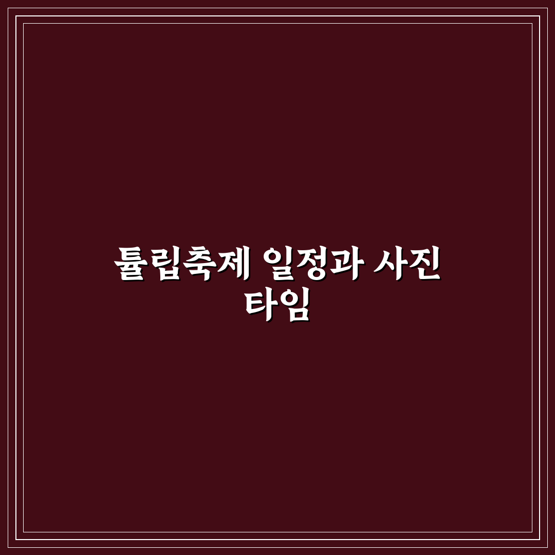 태안 튤립축제 일정과 사진 찍기 좋은 시간대 꿀팁 정리