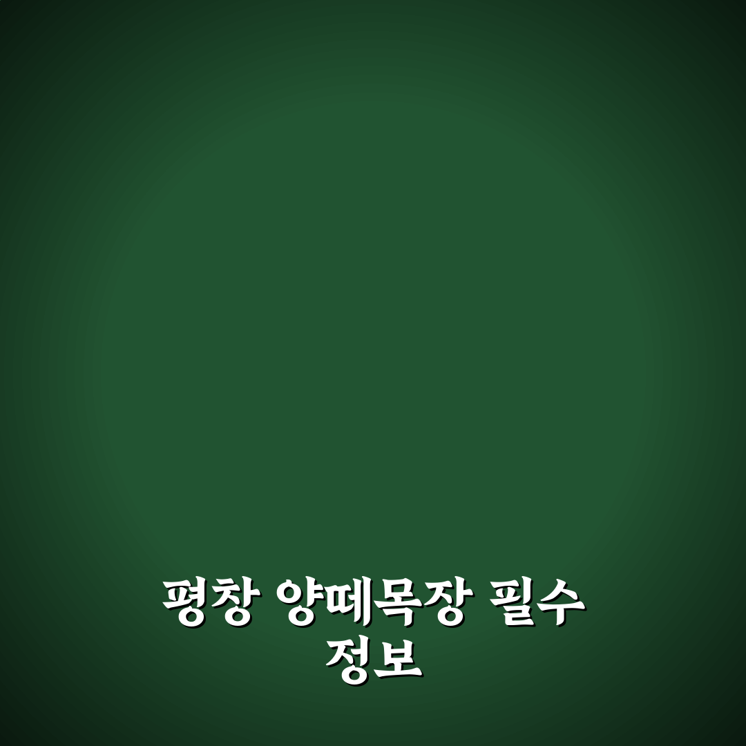 평창 양떼목장 비교와 가족 여행 코스 5가지 기준 분석