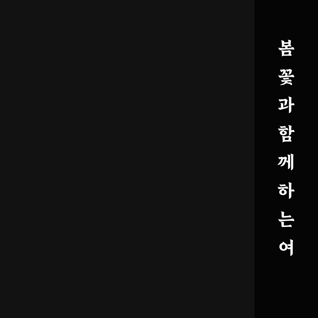 봄꽃 축제 1박 2일 코스 추천과 벚꽃 유채꽃 여행 꿀팁