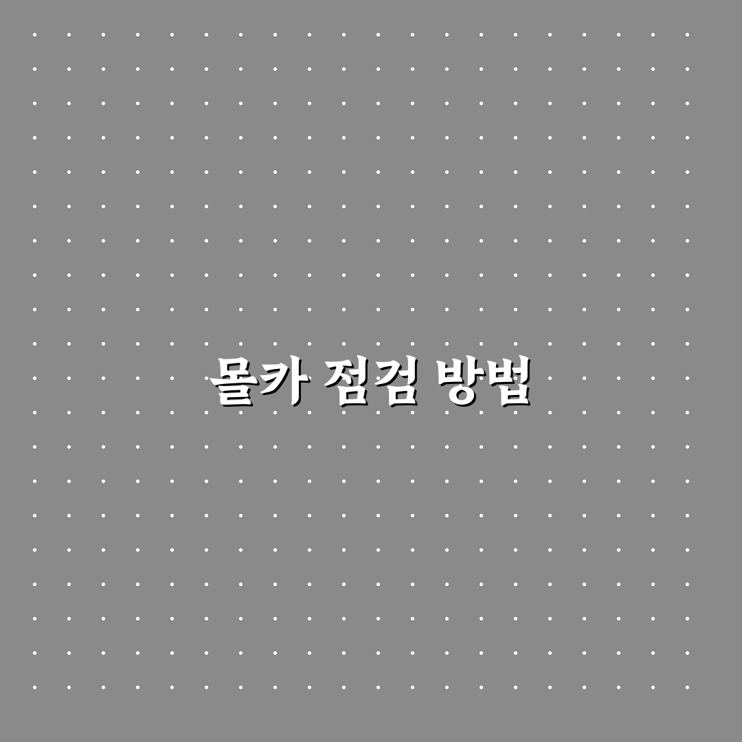 몰카 탐지기 사용법과 숙소 입실 후 점검 순서 꿀팁 정리