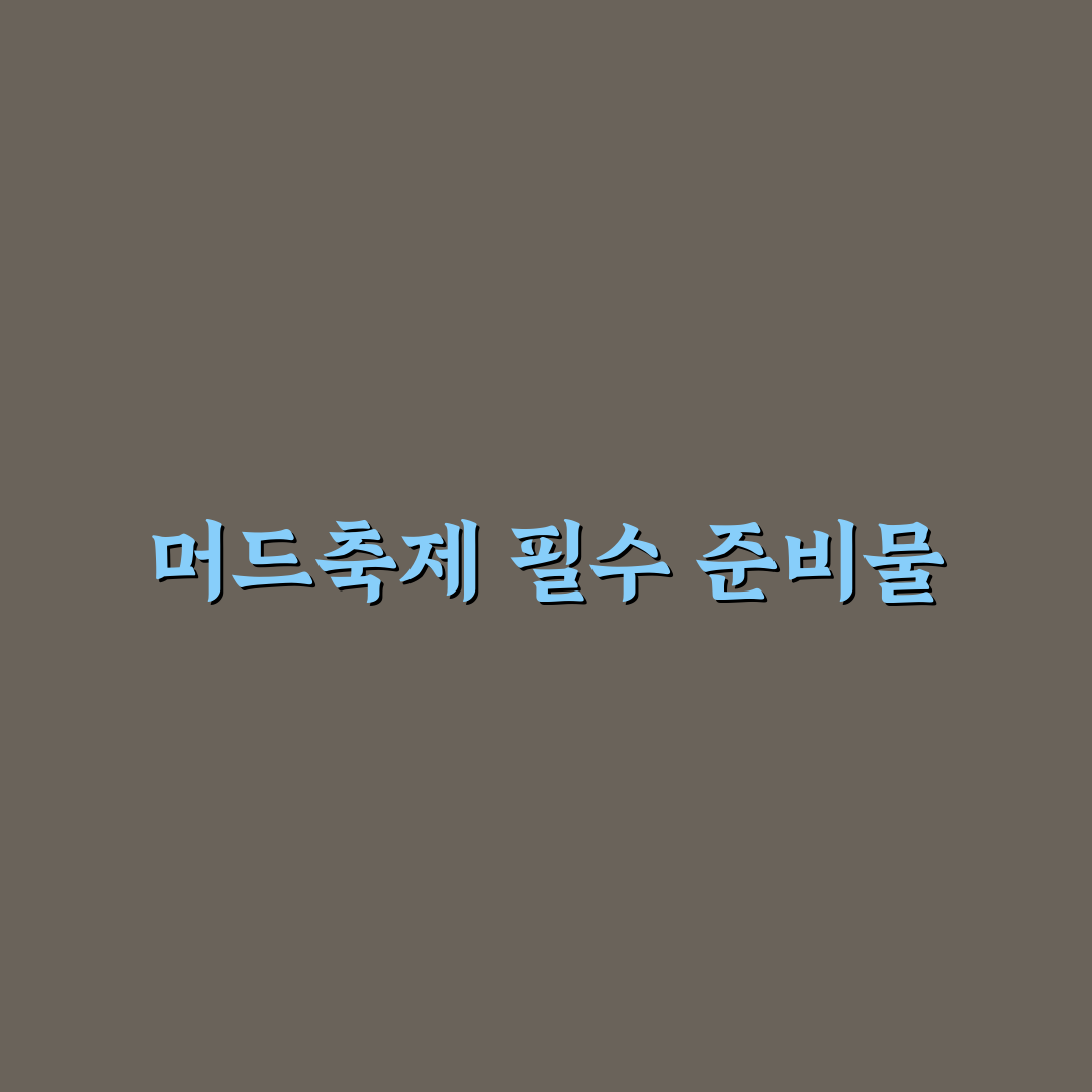 보령 머드축제 준비물과 초보자를 위한 꿀팁 정리