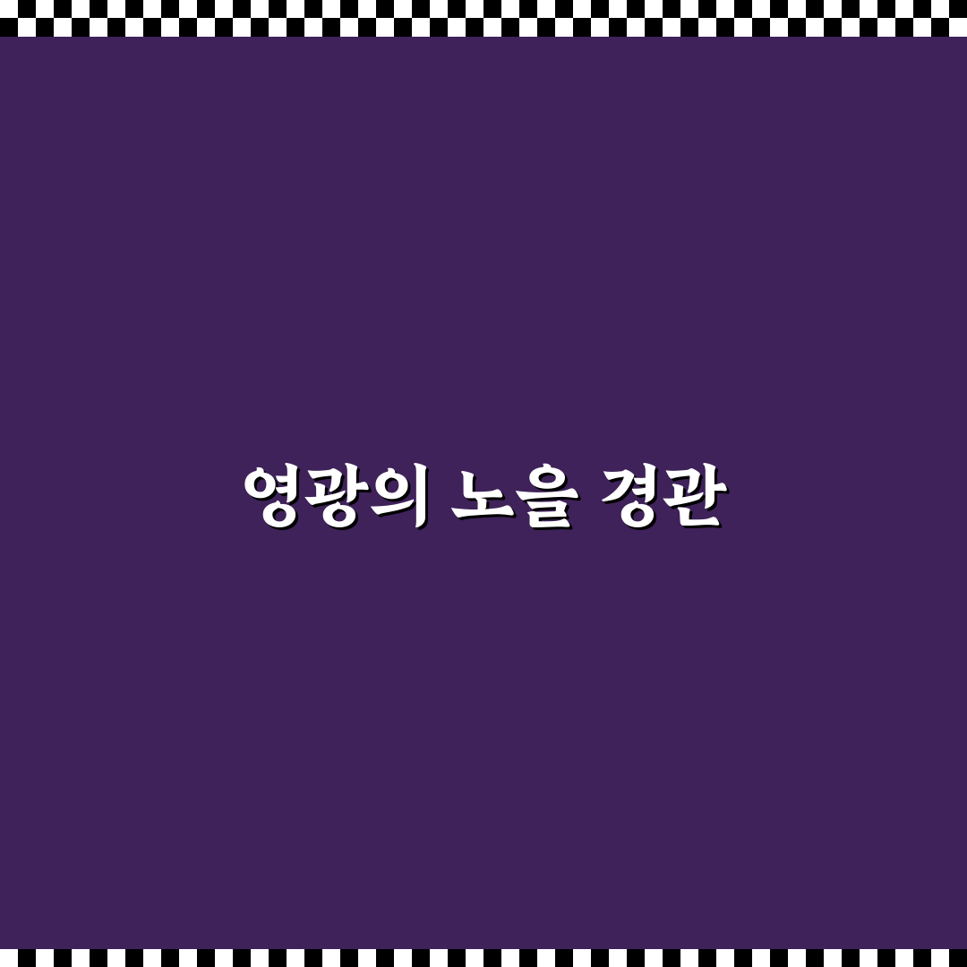 영광 백수해안도로 드라이브와 노을 명소 꿀팁 정리