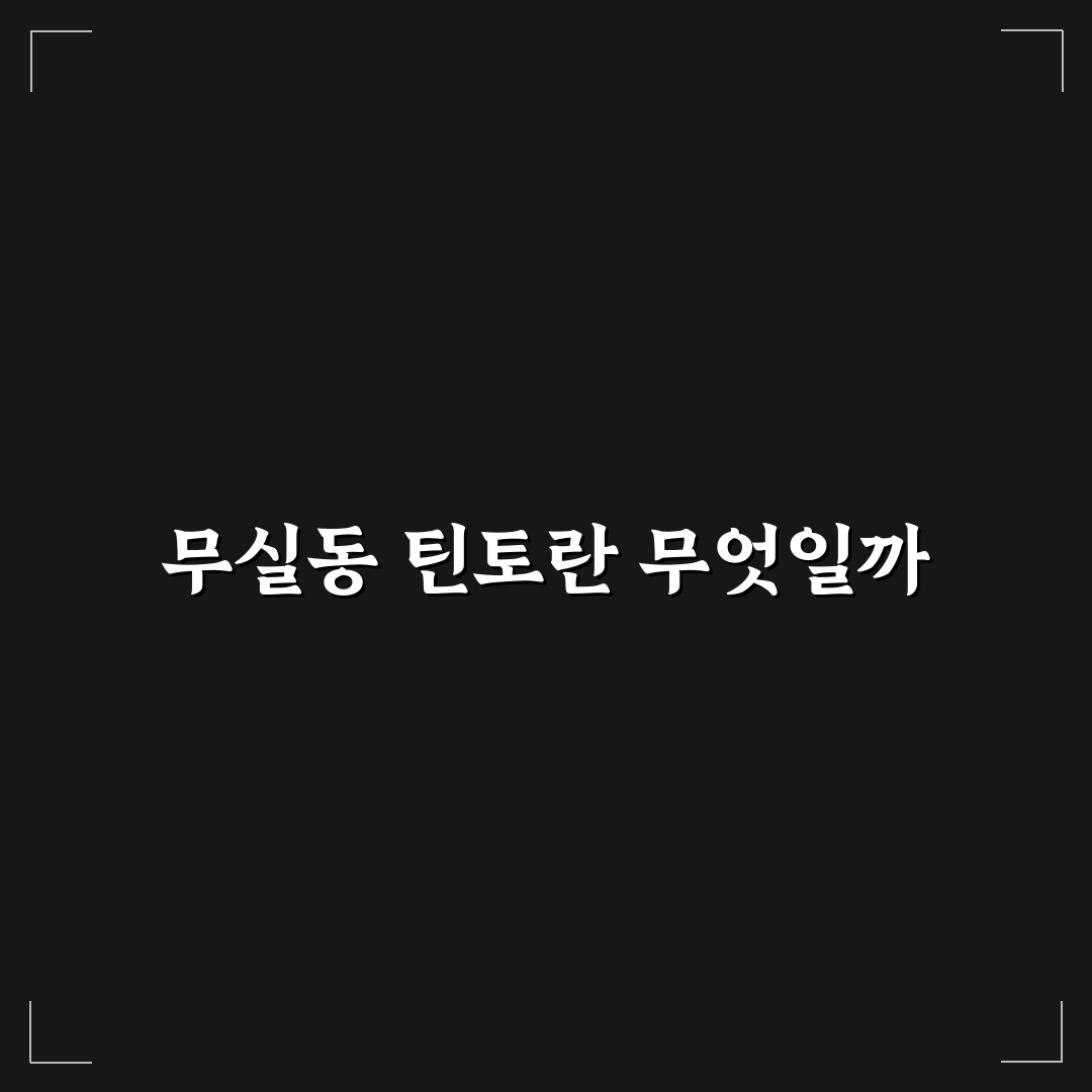 무실동 틴토 알아두면 좋은 추천 정보 정리